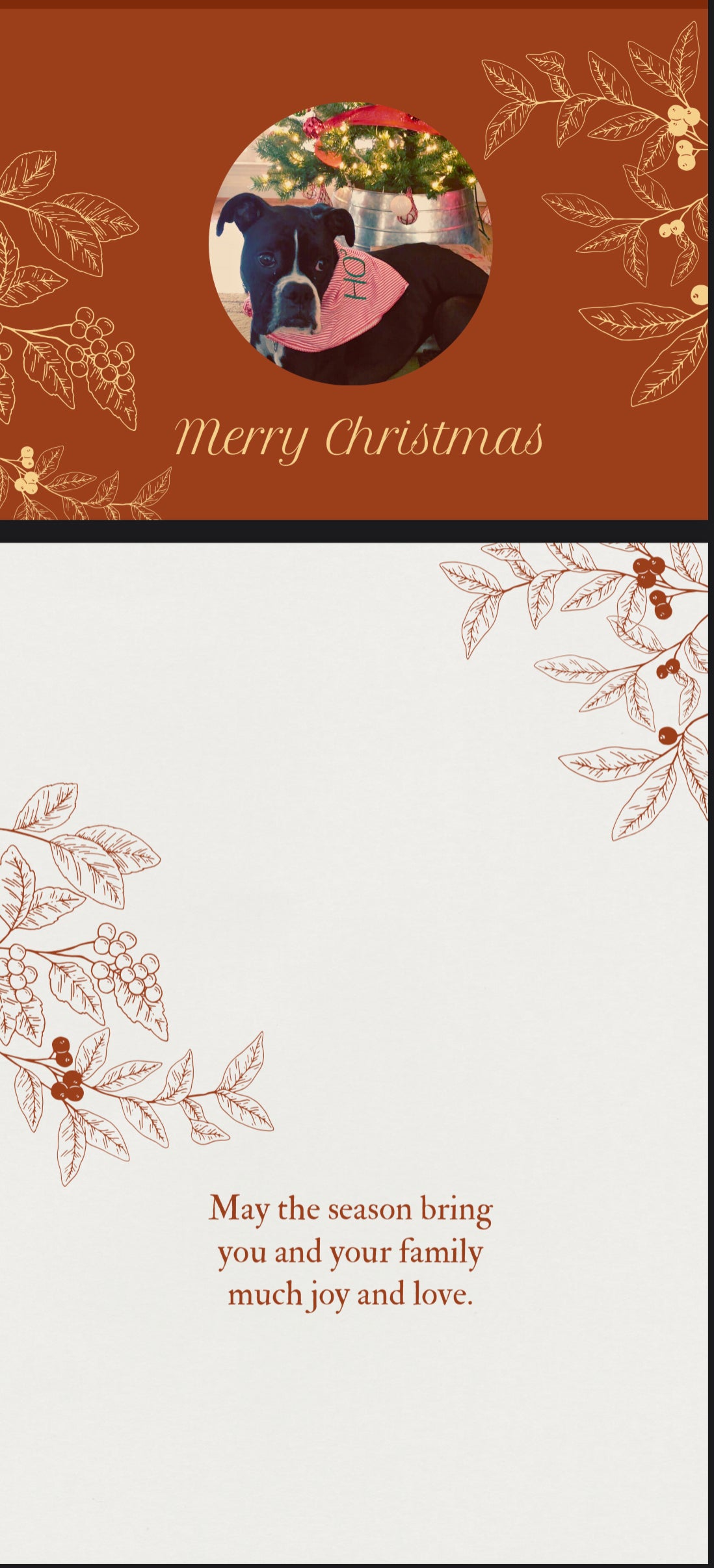 Christmas cards